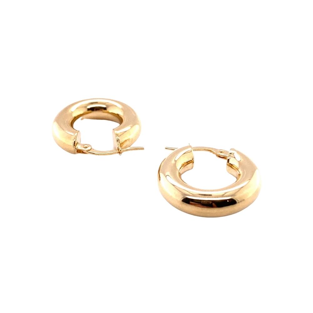 a pair of small gold hoop earrings