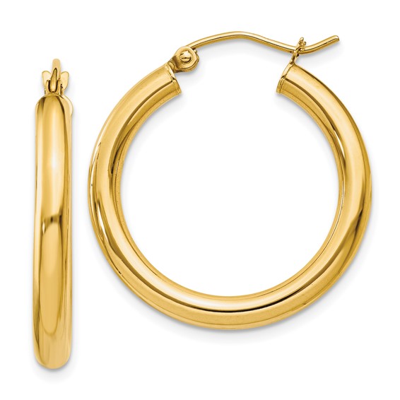 a pair of gold hoop earrings