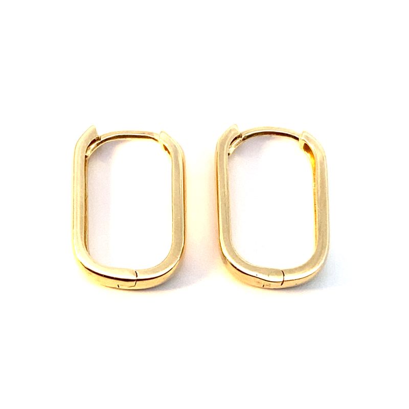 pair of gold plated earrings on white background