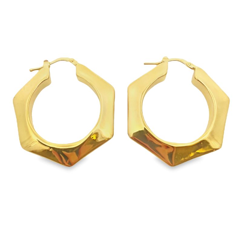 a pair of gold toned hoop earrings