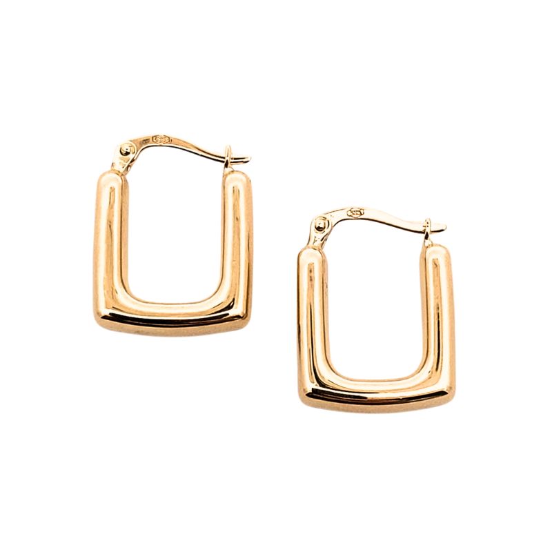 Small Hollow Rectangular Hoops